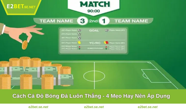 Cách Cá Độ Bóng Đá Luôn Thắng