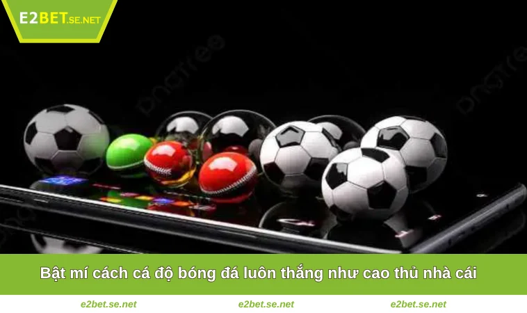 Bật mí cách cá độ bóng đá luôn thắng như cao thủ nhà cái