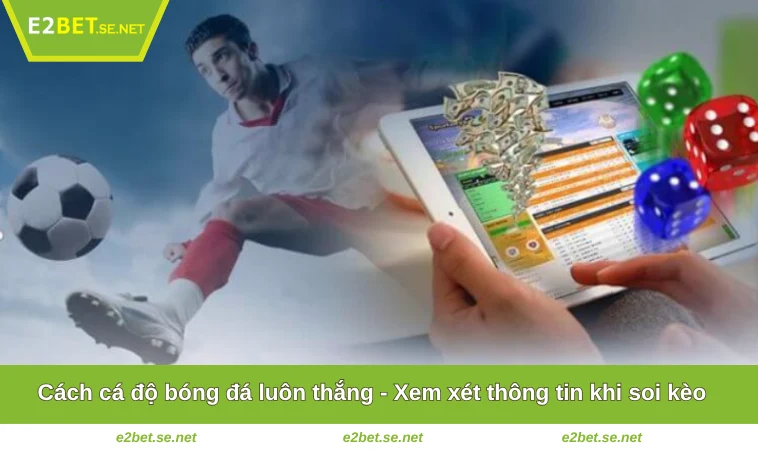 Cách cá độ bóng đá luôn thắng - Xem xét thông tin khi soi kèo